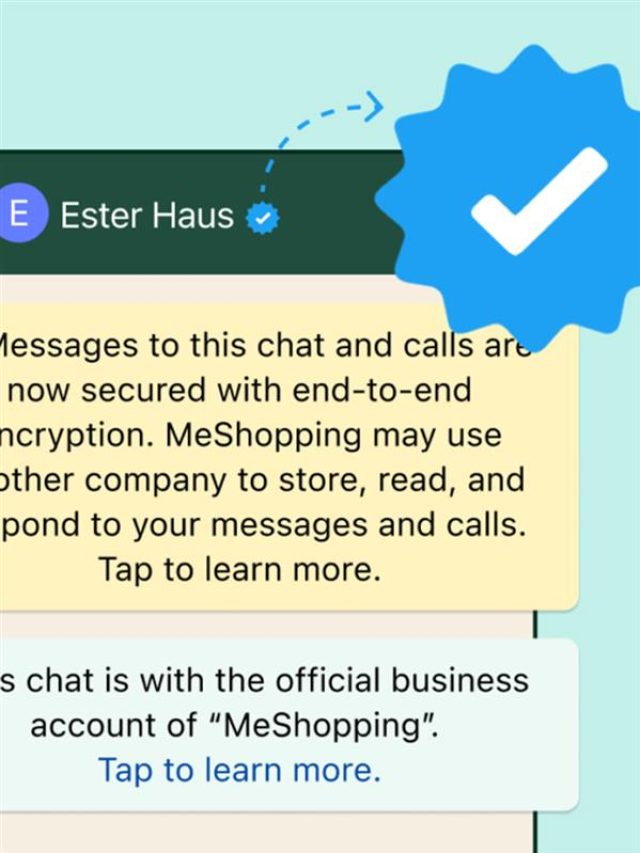 WhatsApp Blue Tick पाने का मौका! जानें अप्लाई करने का तरीका