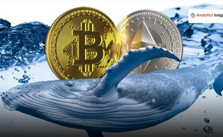 Bitcoin व्हेल ने बेचे 435 मिलियन डॉलर के BTC, खरीदे 96,859 Ethereum