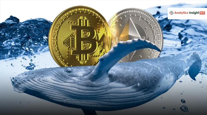 Bitcoin व्हेल ने बेचे 435 मिलियन डॉलर के BTC, खरीदे 96,859 Ethereum