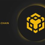 BNB Chain पर Meme Coin रैली: कुछ निवेशकों को भारी फायदा, कुछ को नुकसान
