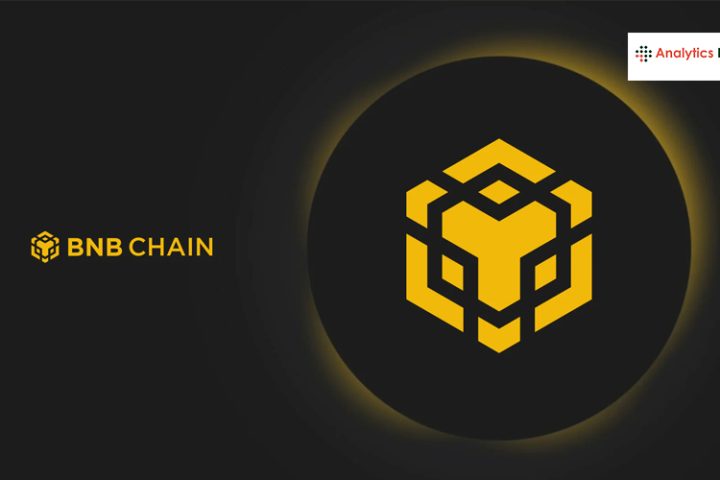 BNB Chain पर Meme Coin रैली: कुछ निवेशकों को भारी फायदा, कुछ को नुकसान