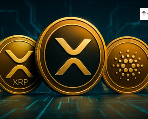 XRP में गिरावट के बीच तेजी की संभावना, मार्केट में दिख रहे रिकवरी संकेत