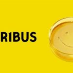 Vince Gilligan का नया शो ‘Pluribus’, जानें उनके विचार