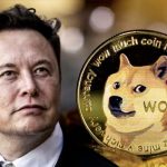 DOGE को लेकर Elon Musk ने शेयर किया अपना अनुभव