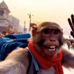 भारत का ‘बंदर अपना दोस्त’ बना YouTube का सुपरस्टार, रचा इतिहास