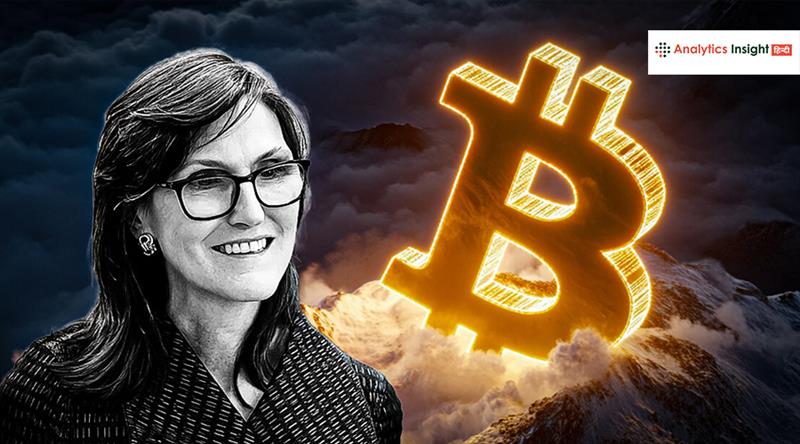 कैथी वुड ने बताया निवेश का नया गणित