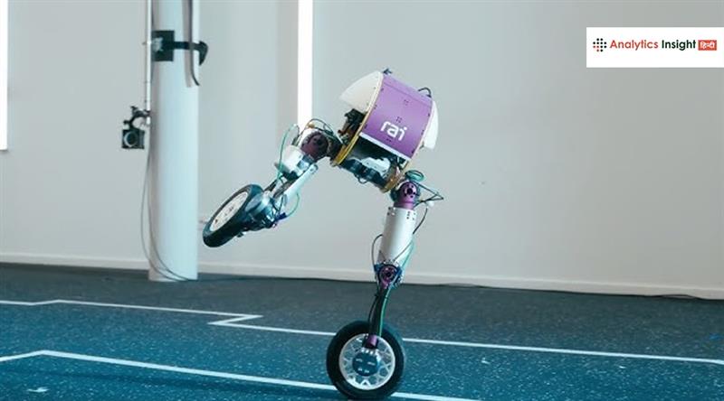 Roadrunner ने बदली रोबोटिक्स की चाल, ह्यूमनॉइड्स पर भारी पड़ा डिजाइन