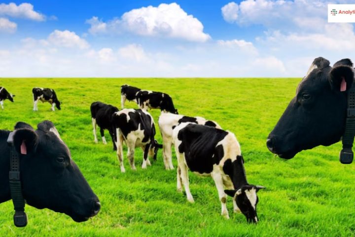 गायों के लिए AI कॉलर, मिले 16,600 करोड़!