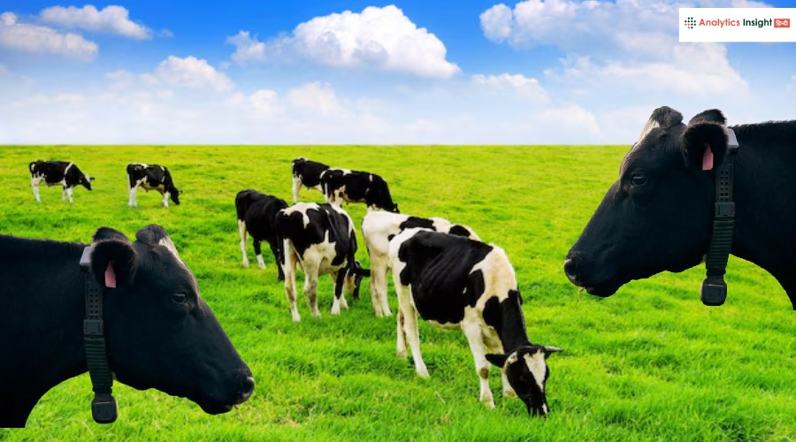 गायों के लिए AI कॉलर, मिले 16,600 करोड़!