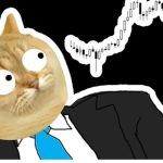 CASHCAT-Meme-Coin