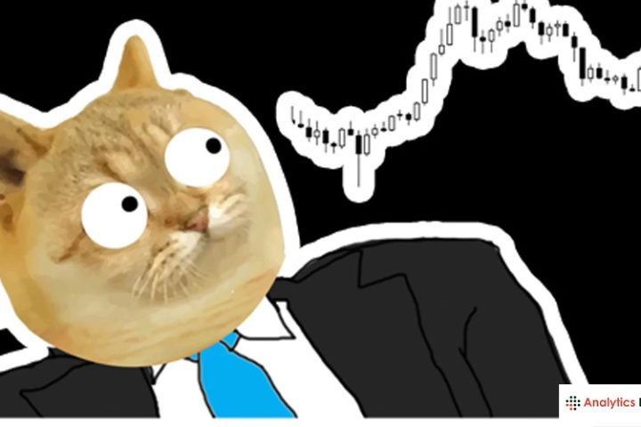 CASHCAT-Meme-Coin