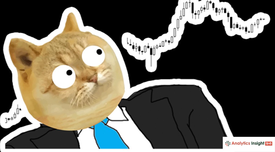 CASHCAT-Meme-Coin