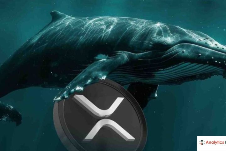 XRP में पैसा लगा रहीं व्हेल, क्या अब आएगा बड़ा उछाल?