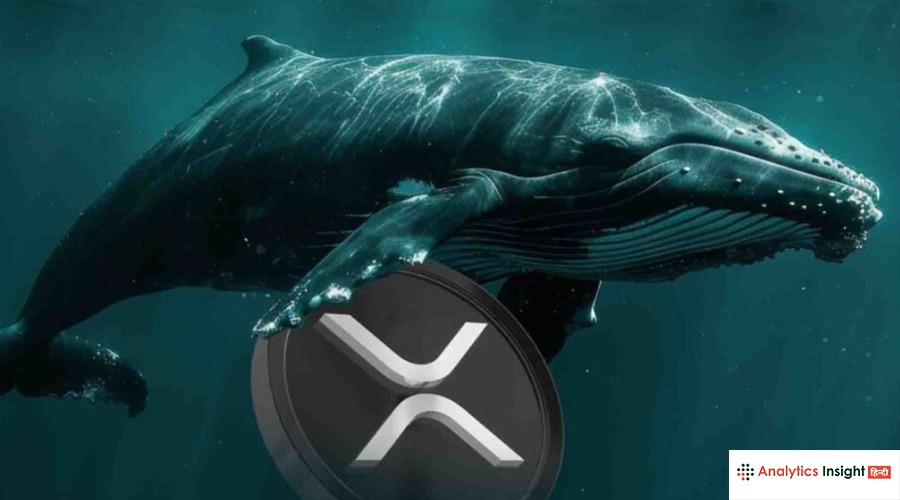 XRP में पैसा लगा रहीं व्हेल, क्या अब आएगा बड़ा उछाल?