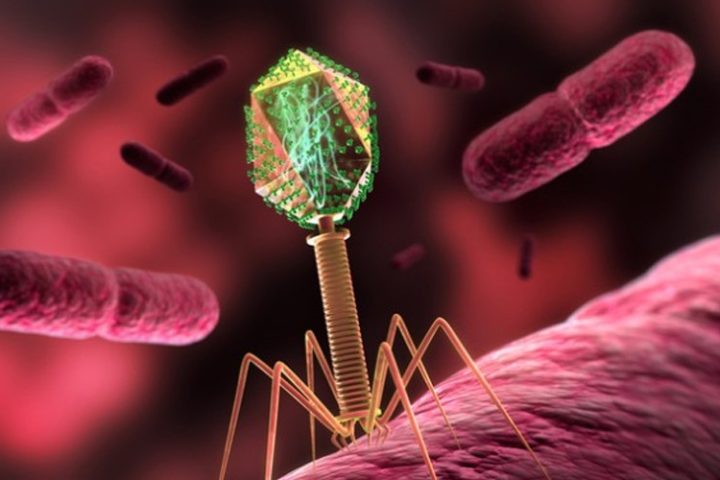 AI ने डिजाइन किए 16 वायरस, E. coli पर दिखा असर